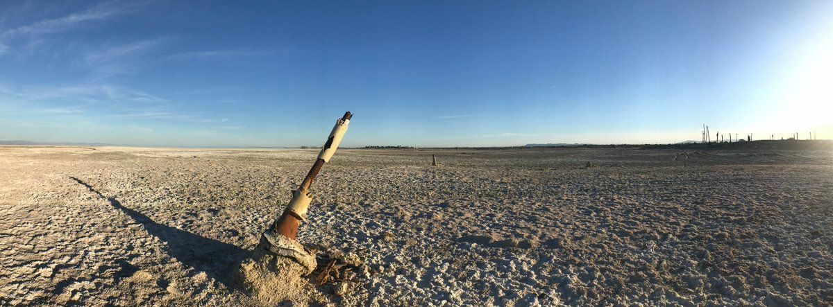 oh my god twitter doesn’t include alt text from images in their API